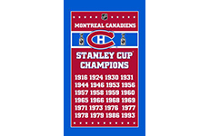 Montreal Canadiens Stanley Cup Champions Flag 3ft x 5ft Polyester NHL Banner Flying Size No